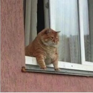 Meet your Posher, Logan